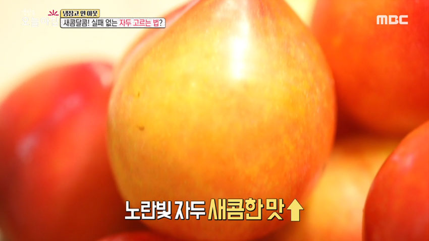 [살림 꿀팁!] 여름철 대표 과일 '자두' 의 모든 것! 1편- 품종과 잘 고르는 법!