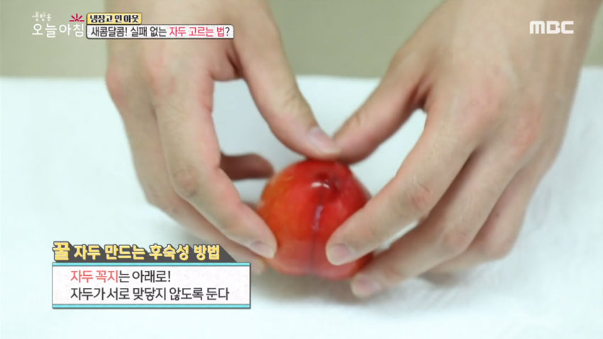 [살림 꿀팁!] 여름철 대표 과일 '자두' 의 모든 것! 2편- 후숙성 법 및 간단 세척법!