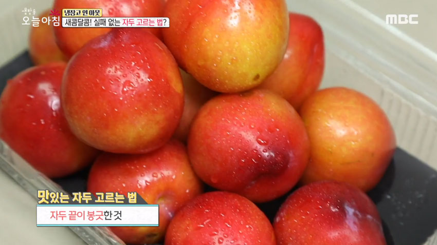 [살림 꿀팁!] 여름철 대표 과일 '자두' 의 모든 것! 1편- 품종과 잘 고르는 법!