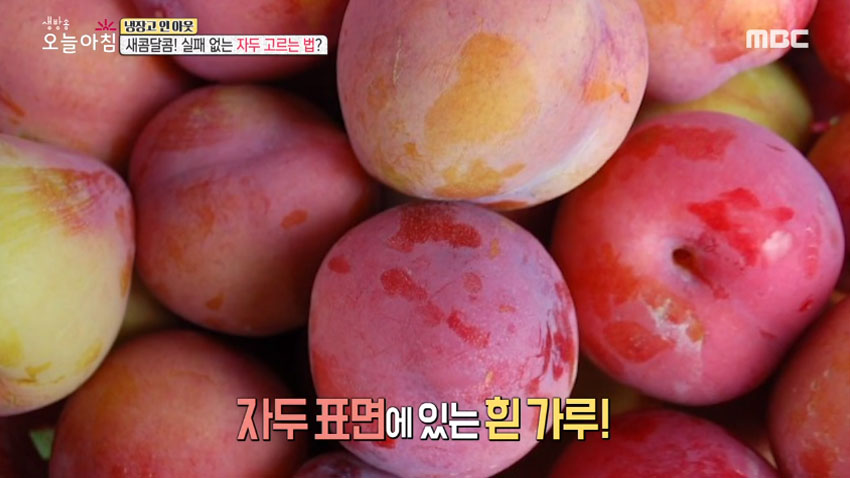 [살림 꿀팁!] 여름철 대표 과일 '자두' 의 모든 것! 2편- 후숙성 법 및 간단 세척법!