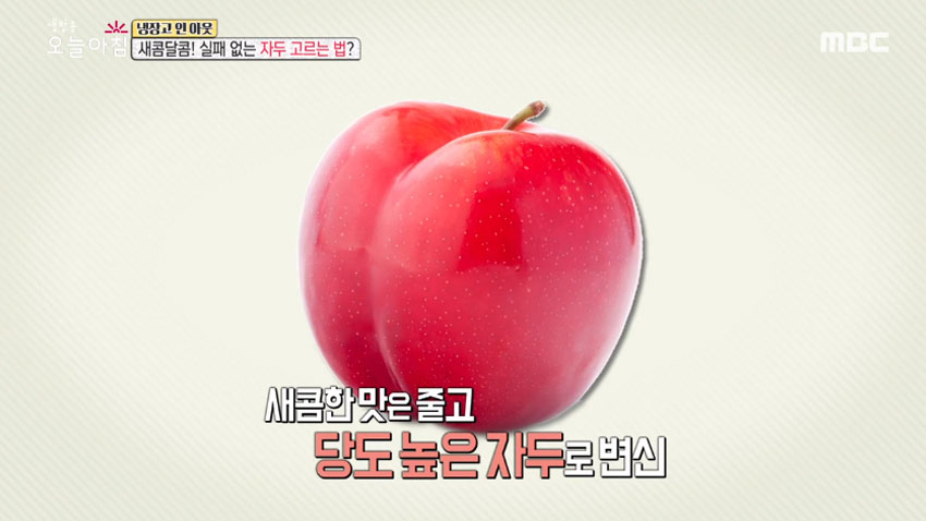 [살림 꿀팁!] 여름철 대표 과일 '자두' 의 모든 것! 1편- 품종과 잘 고르는 법!