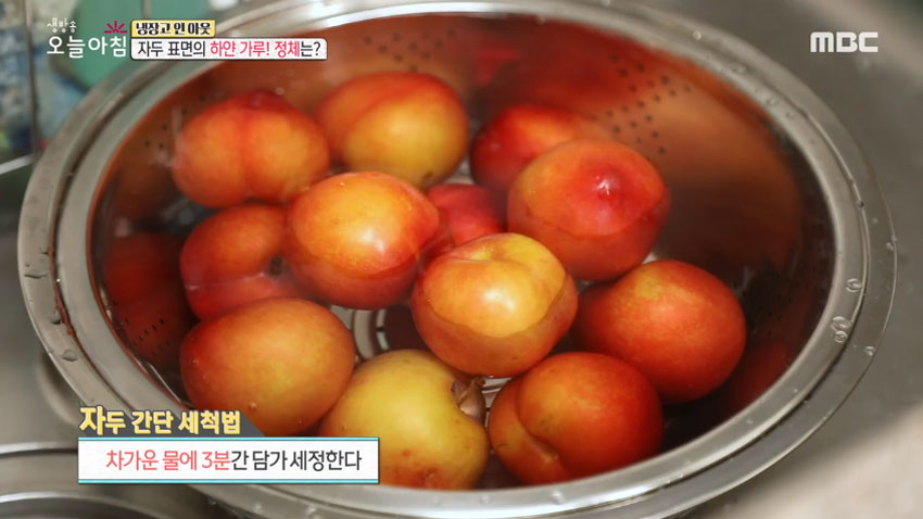 [살림 꿀팁!] 여름철 대표 과일 '자두' 의 모든 것! 2편- 후숙성 법 및 간단 세척법!