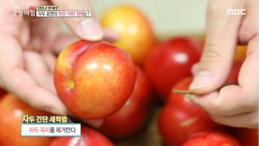 [살림 꿀팁!] 여름철 대표 과일 '자두' 의 모든 것! 2편- 후숙성 법 및 간단 세척법!