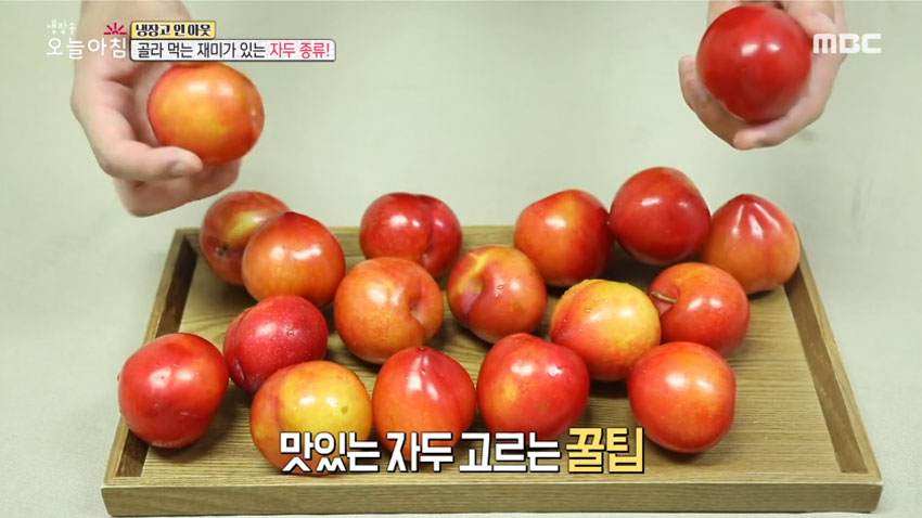 [살림 꿀팁!] 여름철 대표 과일 '자두' 의 모든 것! 1편- 품종과 잘 고르는 법!