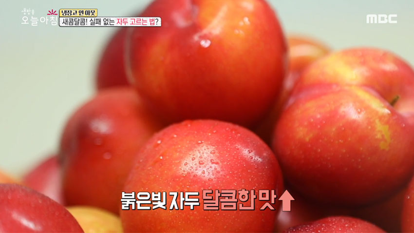 [살림 꿀팁!] 여름철 대표 과일 '자두' 의 모든 것! 1편- 품종과 잘 고르는 법!