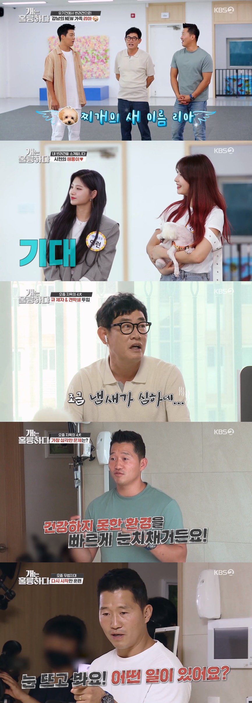 iMBC 연예뉴스 사진