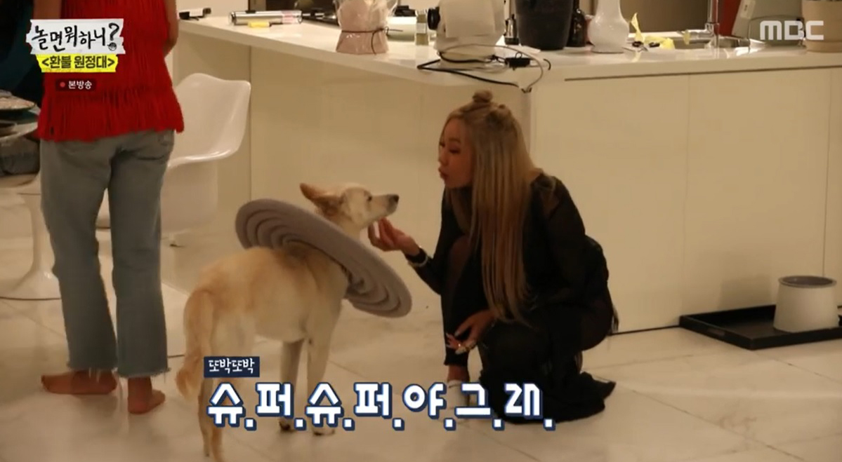 iMBC 연예뉴스 사진