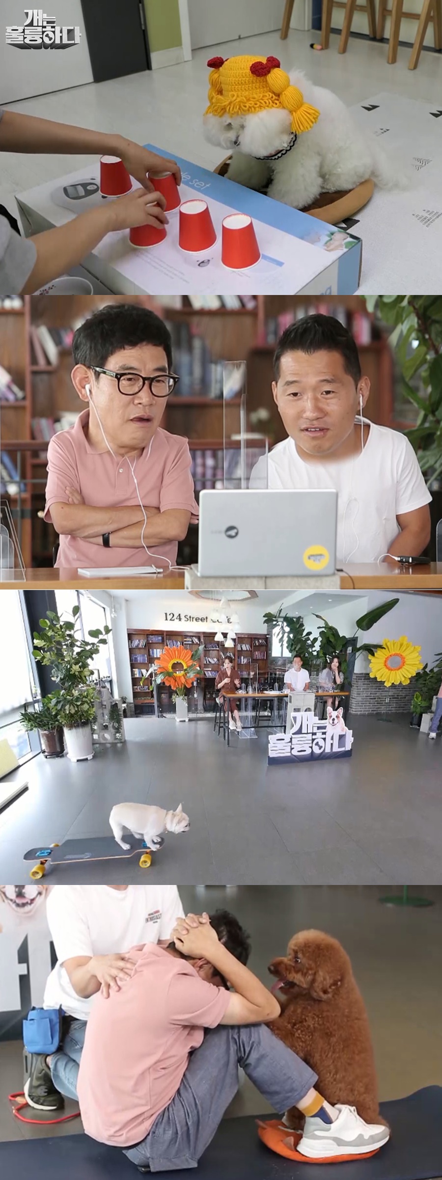 iMBC 연예뉴스 사진