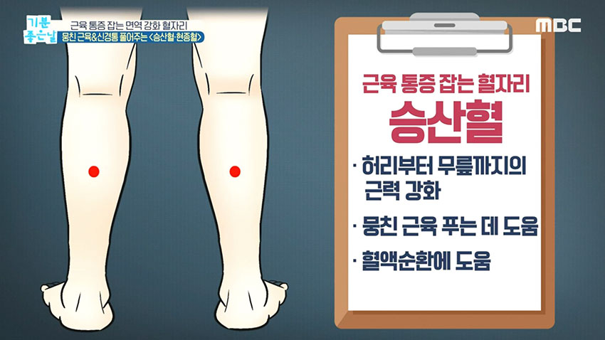 [기분 좋은 날] 근육 통증 잡는 면역 강화 혈자리!