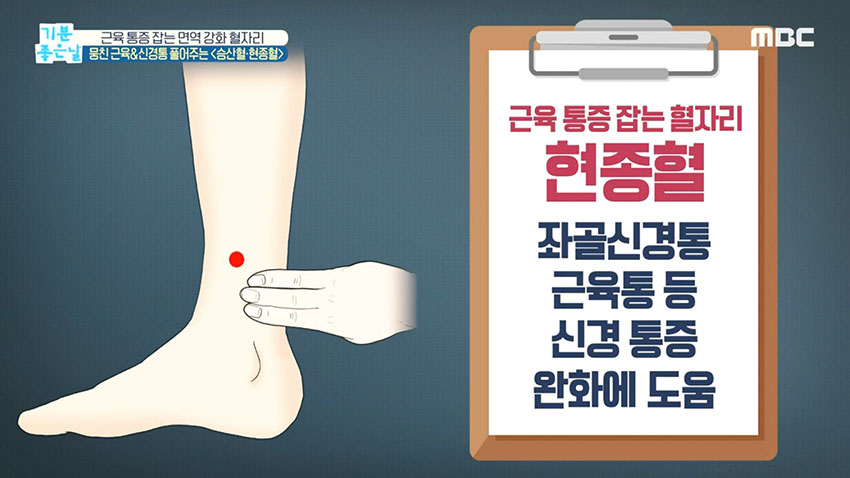 [기분 좋은 날] 근육 통증 잡는 면역 강화 혈자리!