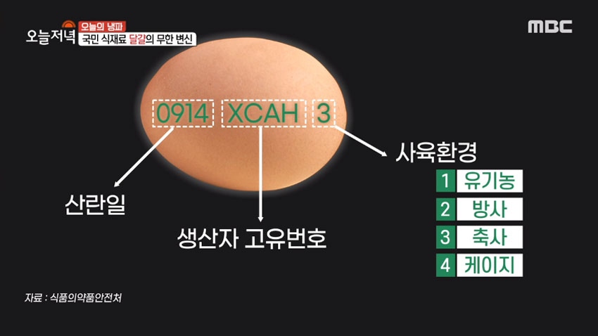 [오늘 저녁] 달걀 활용 요리법, 푹신푹신 '구름빵' 집에서 만들어 보기!