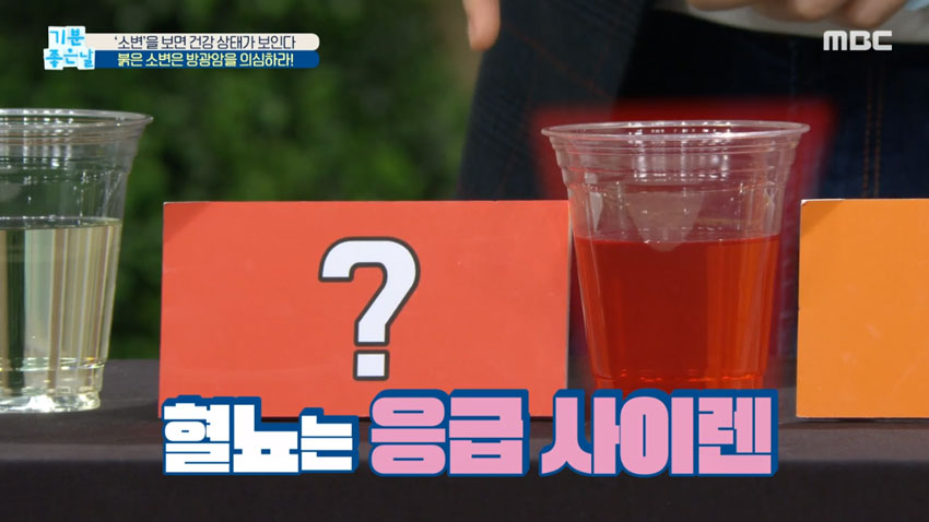 소변 색으로 알아보는 내 건강상태!