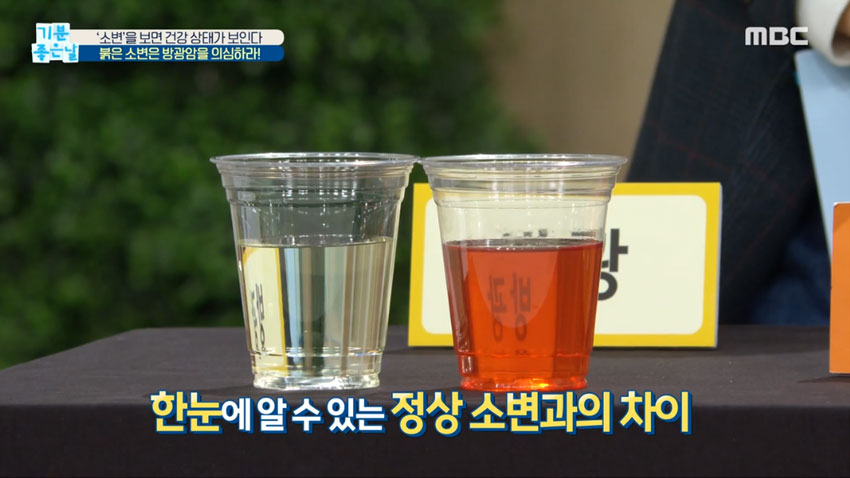 소변 색으로 알아보는 내 건강상태!
