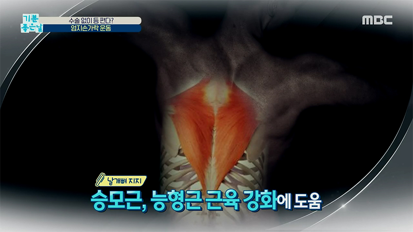 혹시 나도 척추측만증?! 엄지손가락을 이용한 굽은 등 펴기 운동!