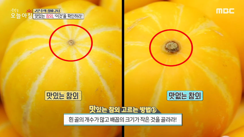 여름 최고 영양 과일 '참외' 그 고르는 법과 효능 알아보기!