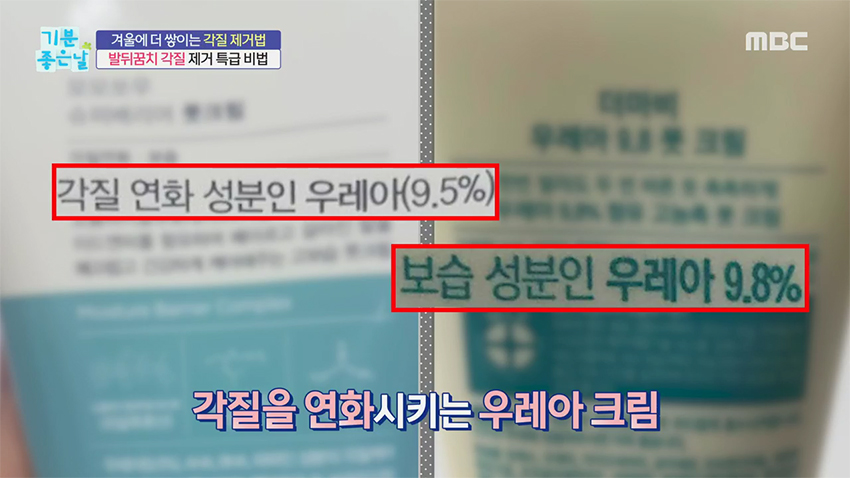 발뒤꿈치 각질 관리하는 초간단 비법 (Ft. 밀폐 요법)