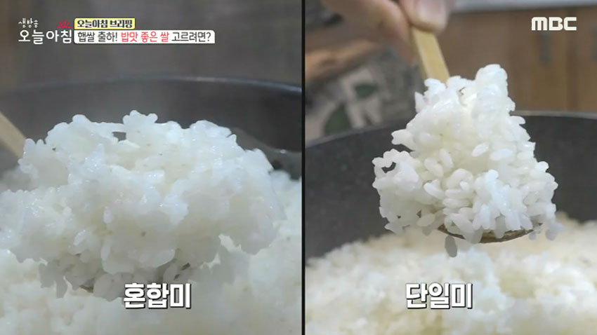 밥 소믈리에가 알려주는 밥맛 좋은 쌀 고르는 법! 밥 소믈리에가 알려주는 밥맛 좋은 쌀 고르는 법!