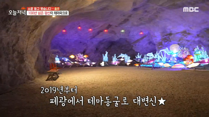 동굴에서 카약을 즐긴다?! 충주 가족 나들이 명소 '활옥동굴'