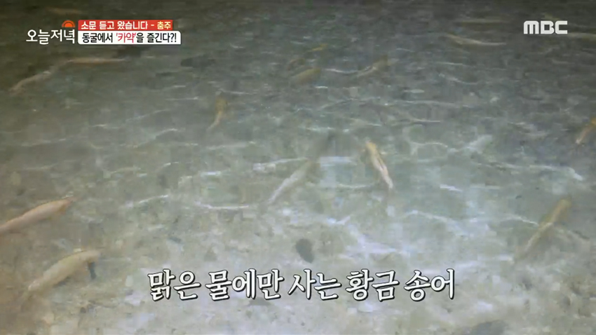 동굴에서 카약을 즐긴다?! 충주 가족 나들이 명소 '활옥동굴'