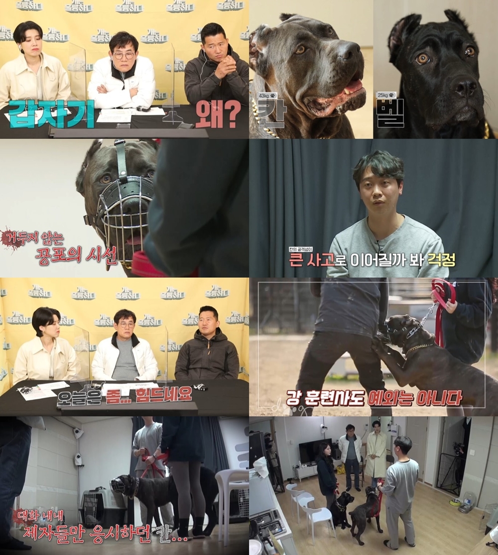 iMBC 연예뉴스 사진