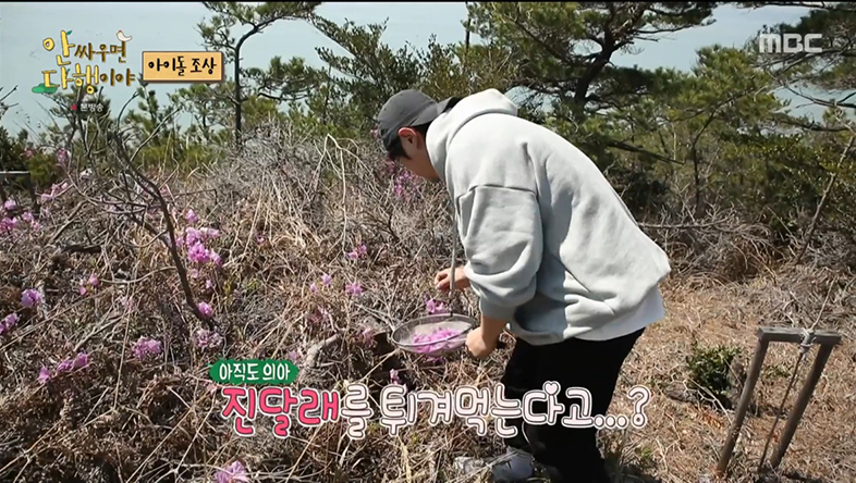 아이피앤디 이미지