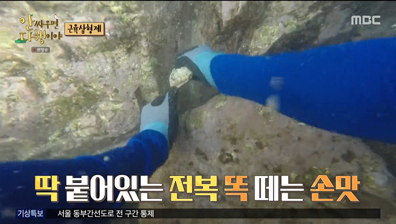 iMBC 연예뉴스 사진