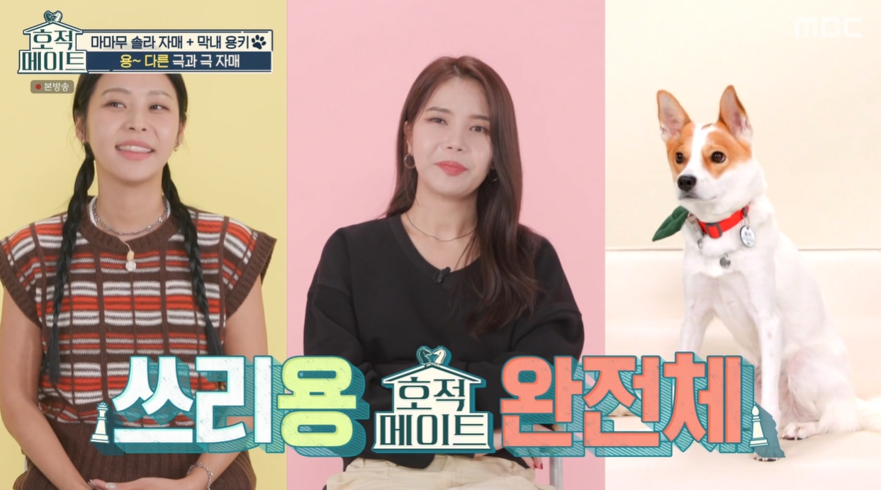 마마무 솔라 미모의 언니 공개 "패션 비즈니스 경영 쪽 공부 중"(호적메이트)