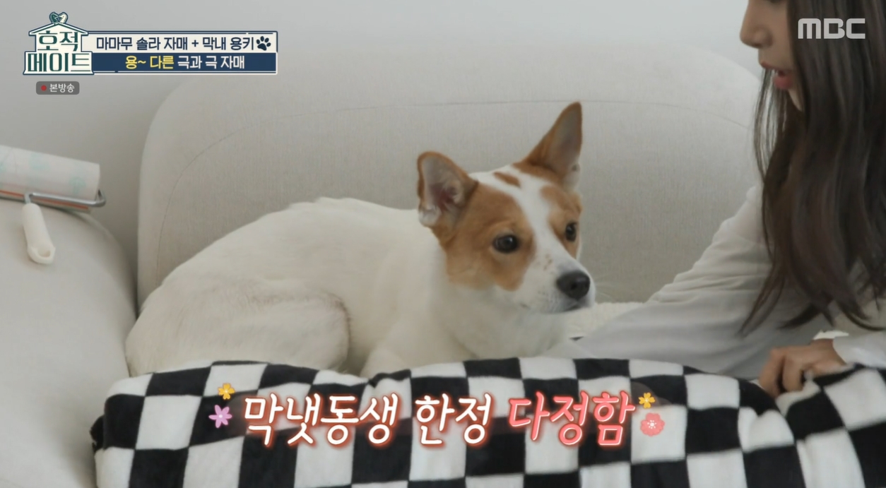 마마무 솔라 미모의 언니 공개 "패션 비즈니스 경영 쪽 공부 중"(호적메이트)