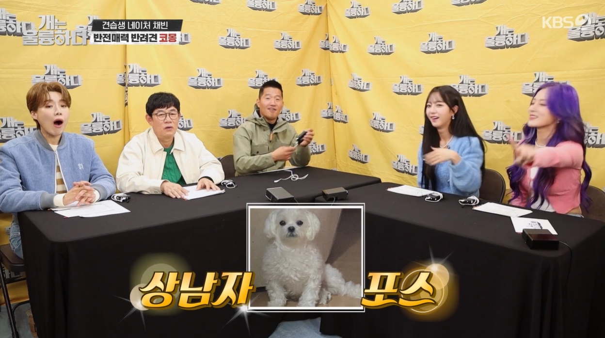 iMBC 연예뉴스 사진