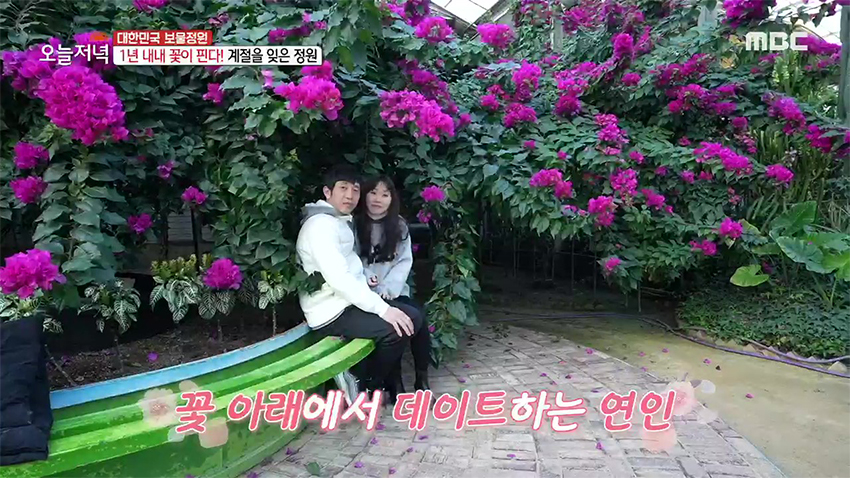 한겨울에도 1년 내내 꽃이 핀다고?! 新 데이트 장소 '온실 정원'