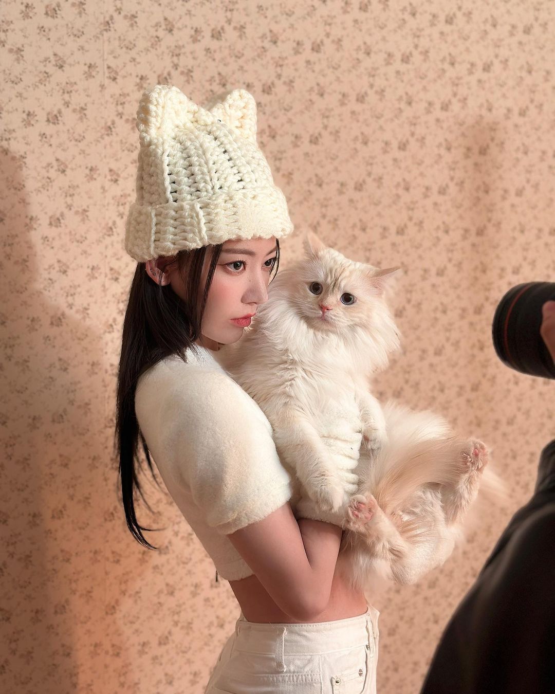 르세라핌 사쿠라, 누가 고양이야? 러블리 비주얼 자랑…팬들은 