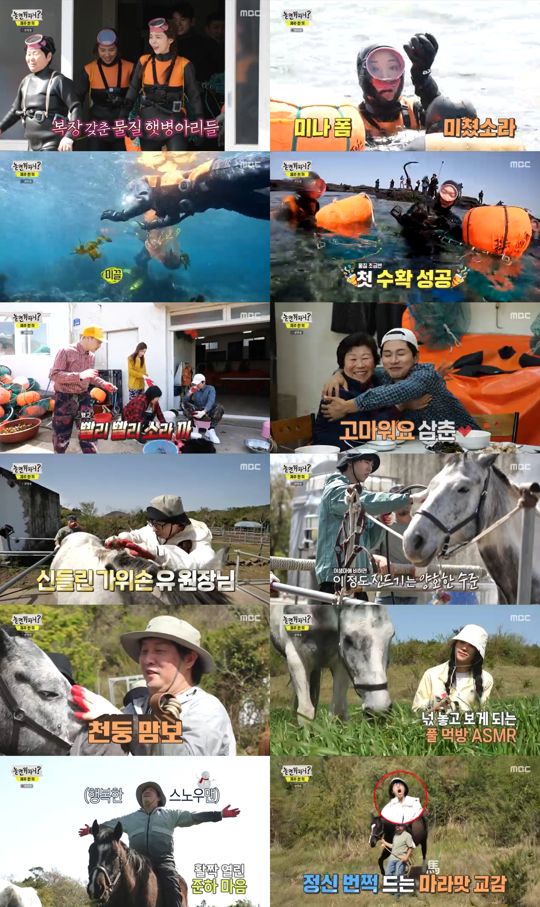 2049 시청률 土예능 1위 '놀면 뭐하니?' 정준하, 말 천둥이에 "재석이다"