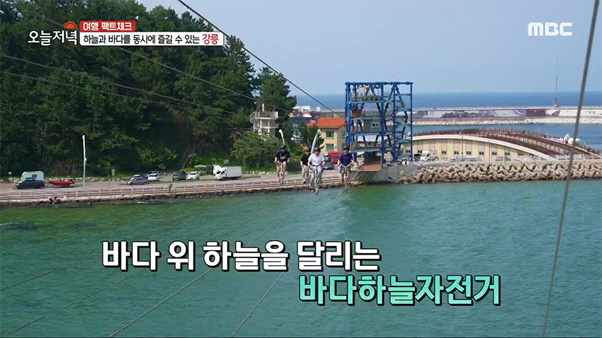 스릴과 재미를 동시에~ 강릉 여행 필수 코스 '바다하늘자전거'
