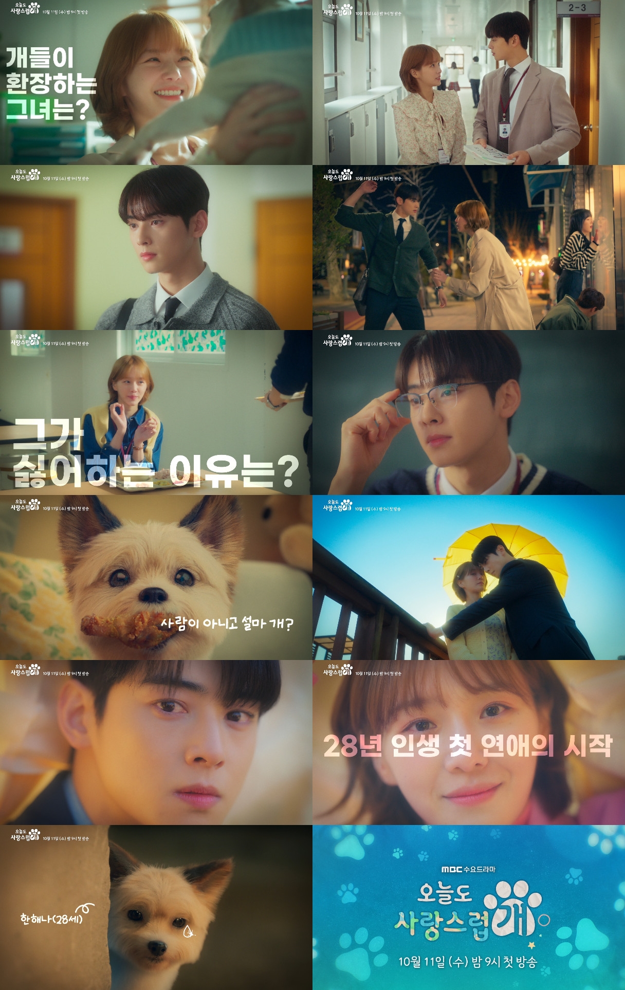 Cha Eun-woo and Park Gyu-young make hearts flutter in new 'A Good Day to be  a Dog' teaser