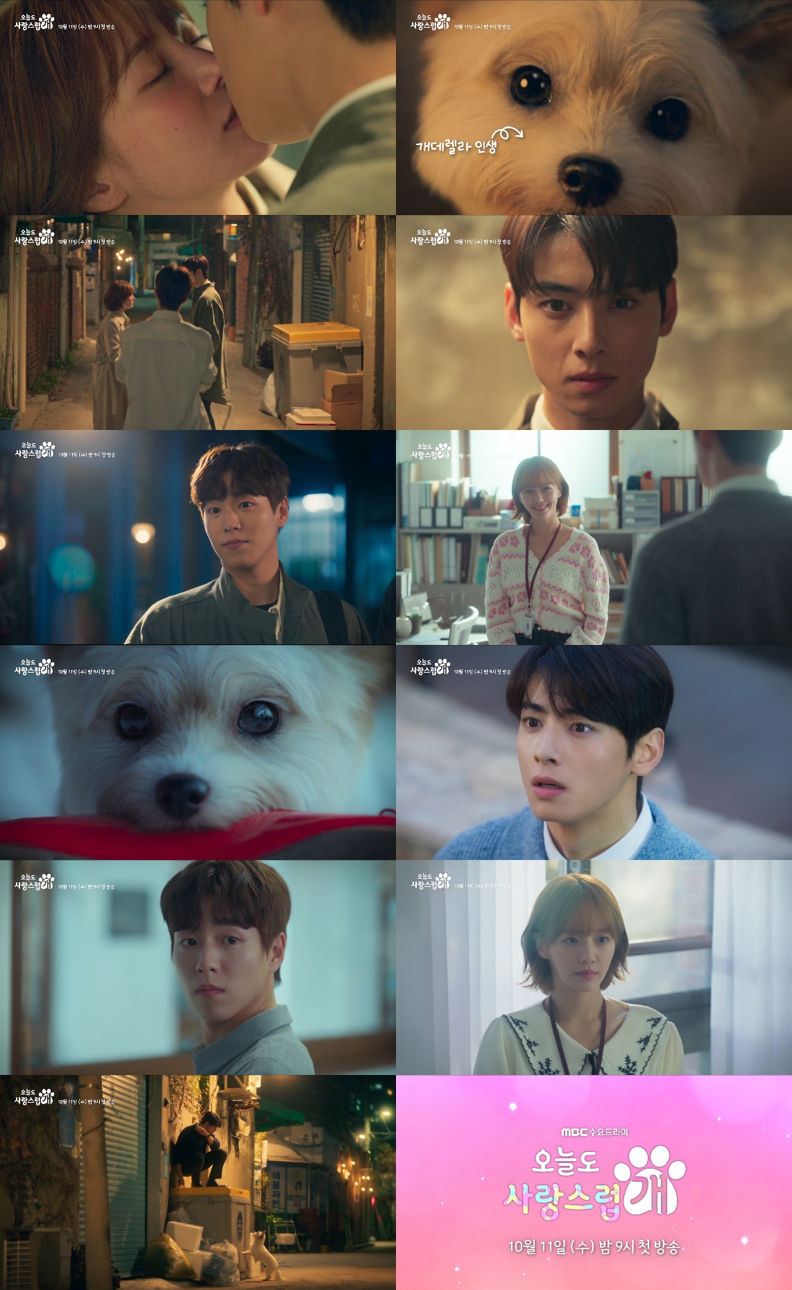 a good day to be a dog kdrama