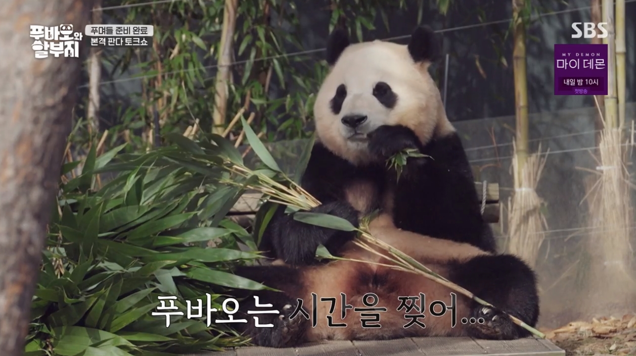 I.헤어토크 이미지