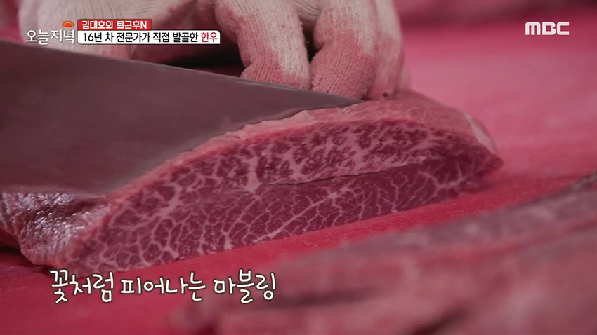 꽃처럼 피어난 마블링! 육즙 가득한 '한우 특수부위 모둠'