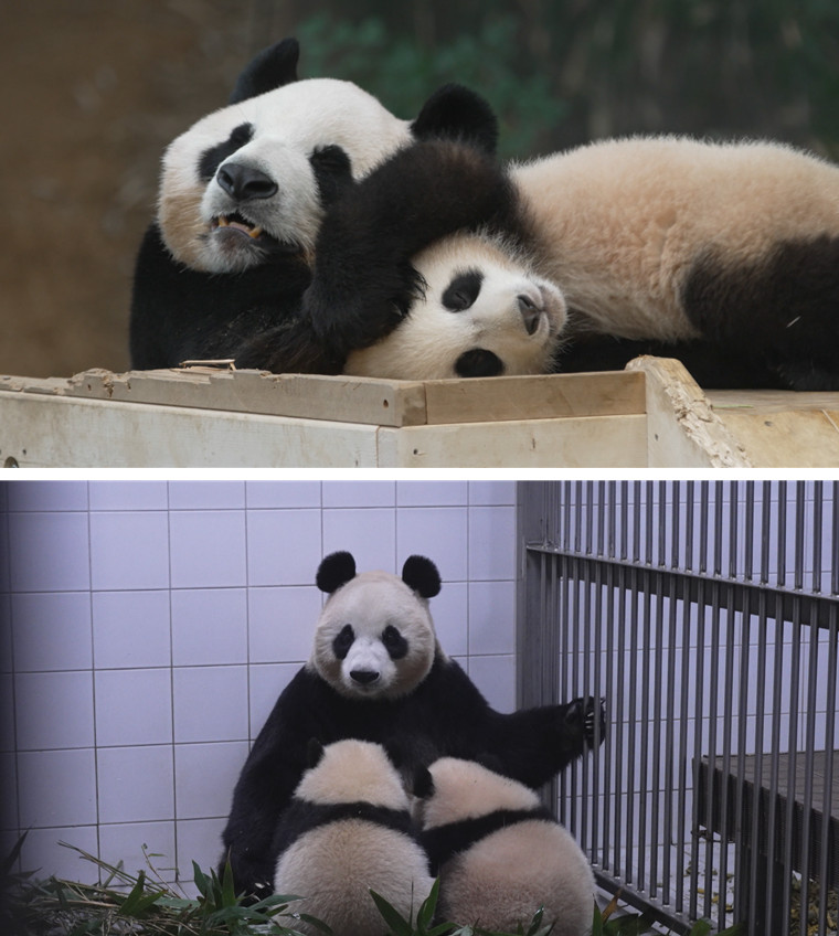 공주에너지(주) 이미지
