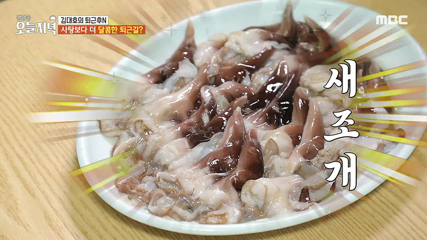 사탕보다 더 달콤하다! 제철 맞은 '새조개 샤부샤부'