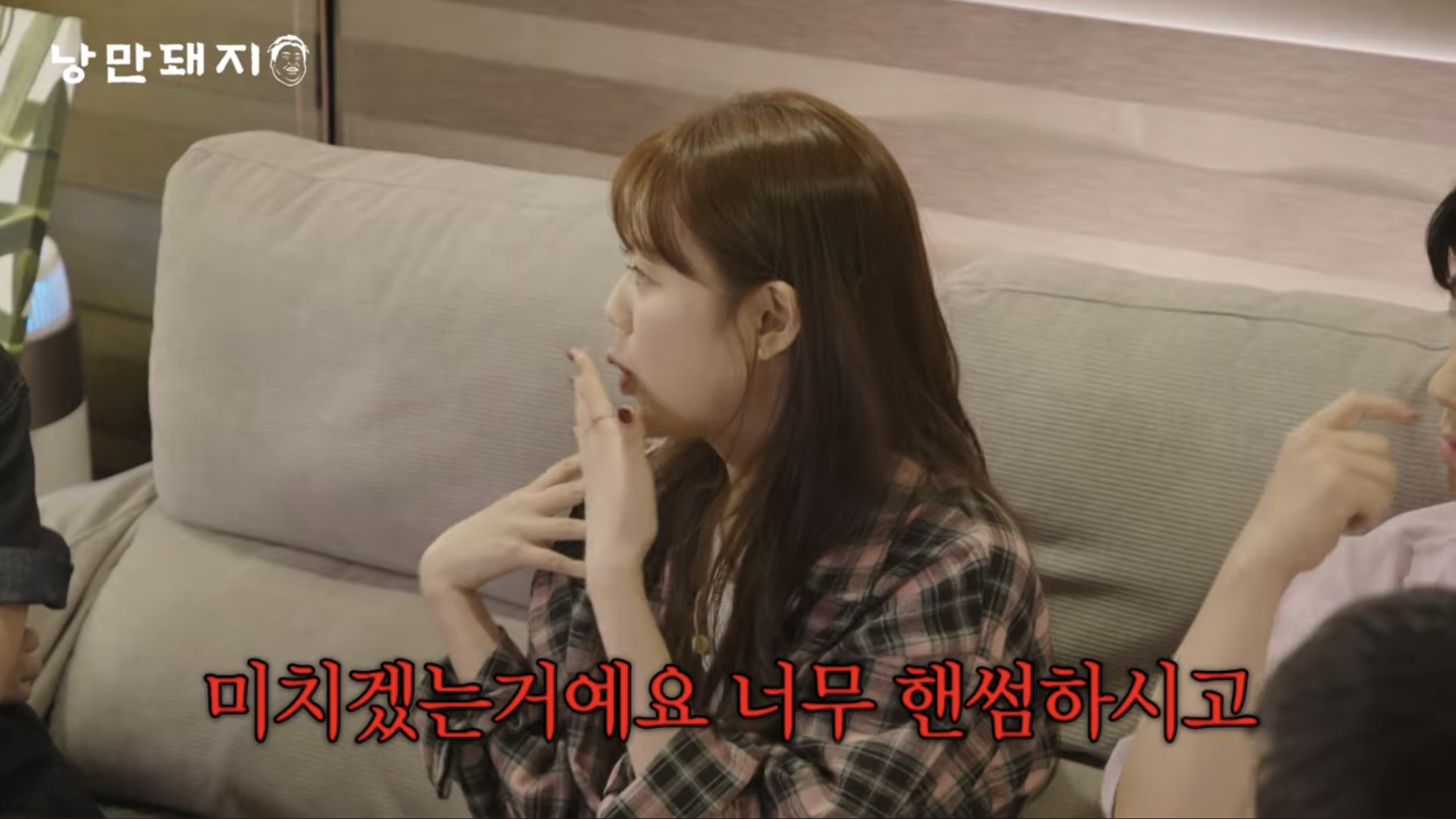 낭만돼지 이미지