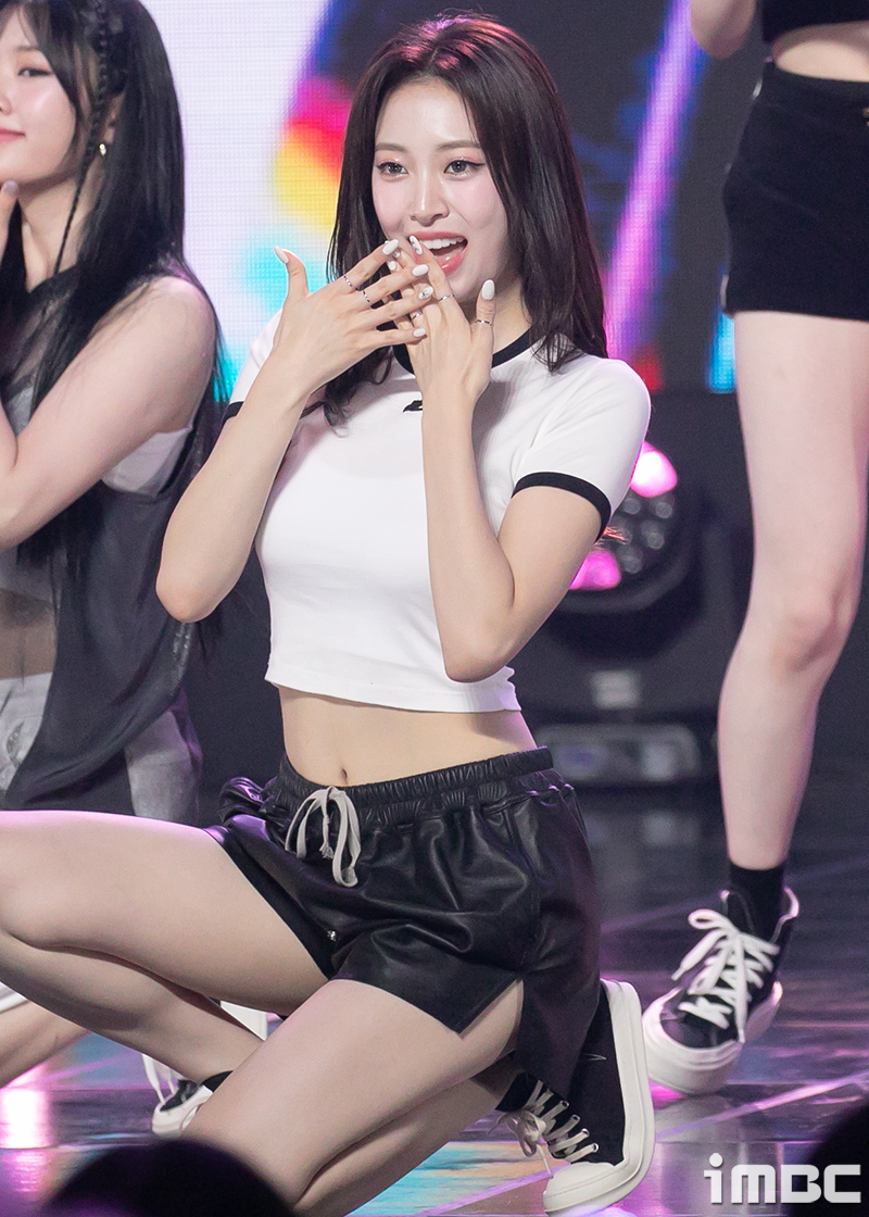 포토조아 이미지
