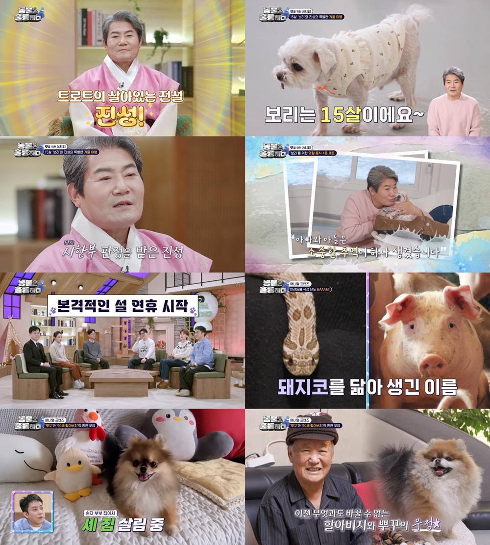 진성기획 이미지