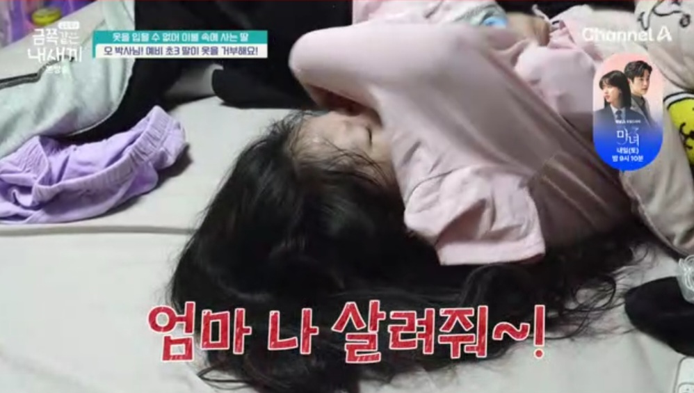 금쪽 이미지