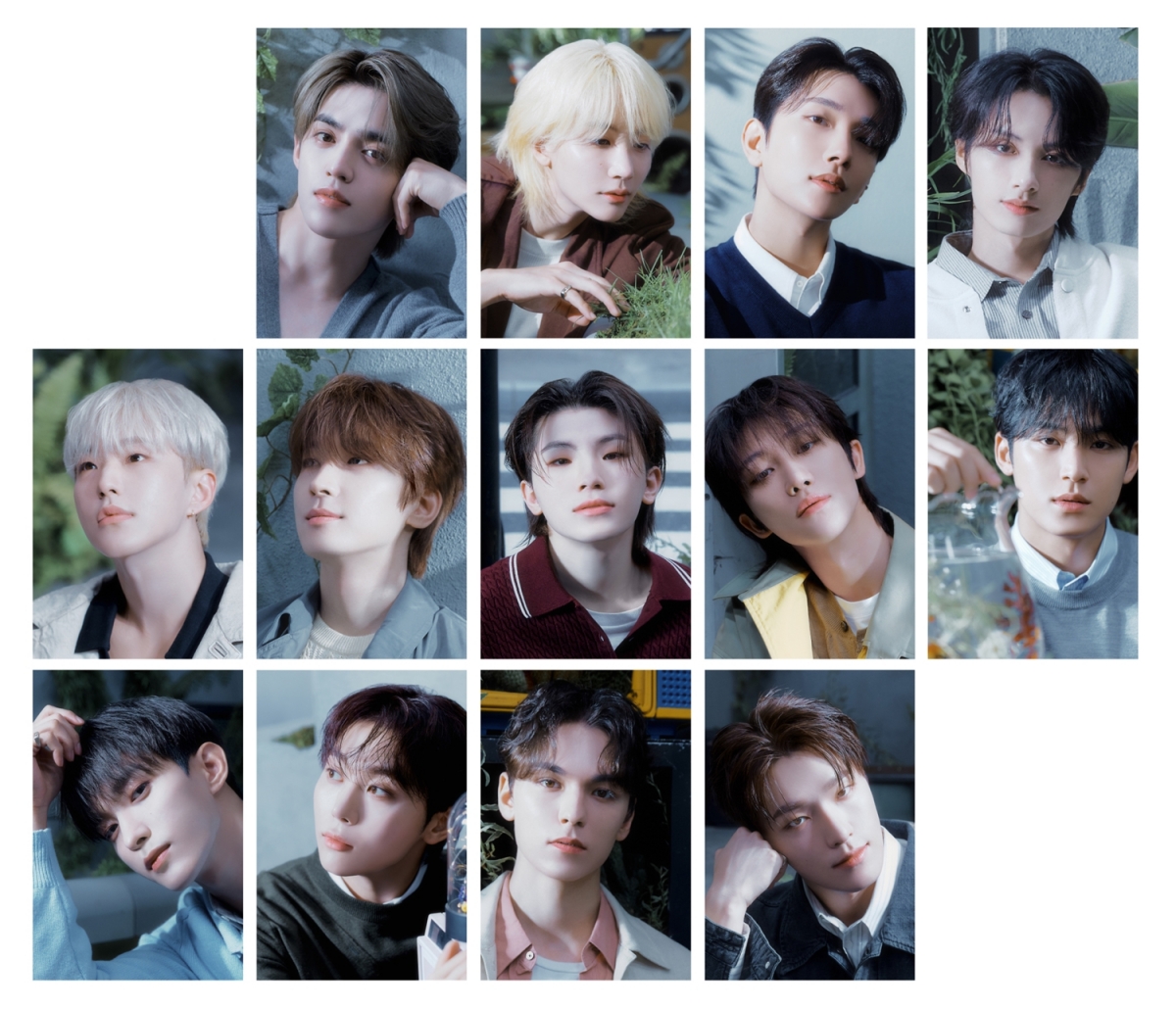 세븐틴, 日 골드 디스크 대상 4관왕 "캐럿 덕분에 받은 상"