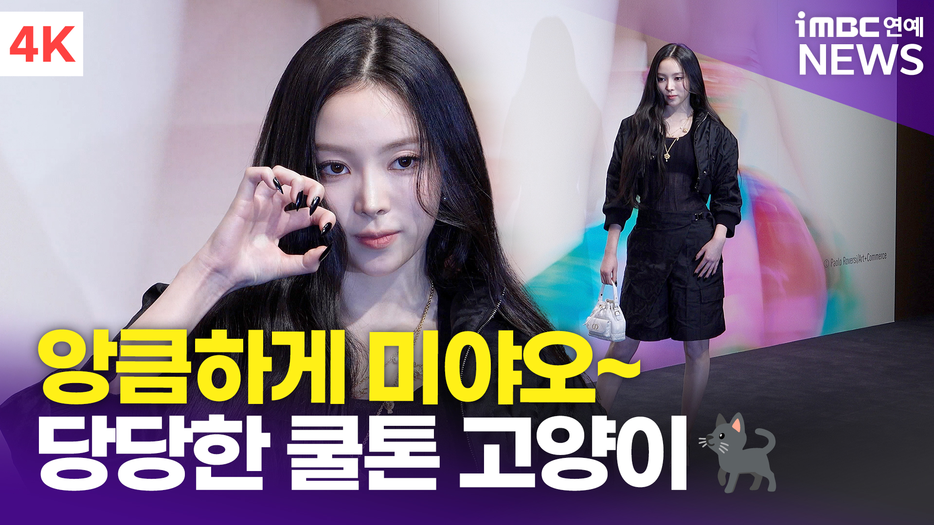 앙큼한고양이 이미지