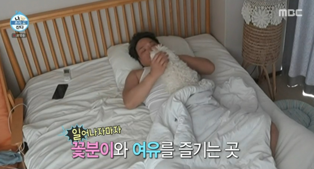 나열 이미지
