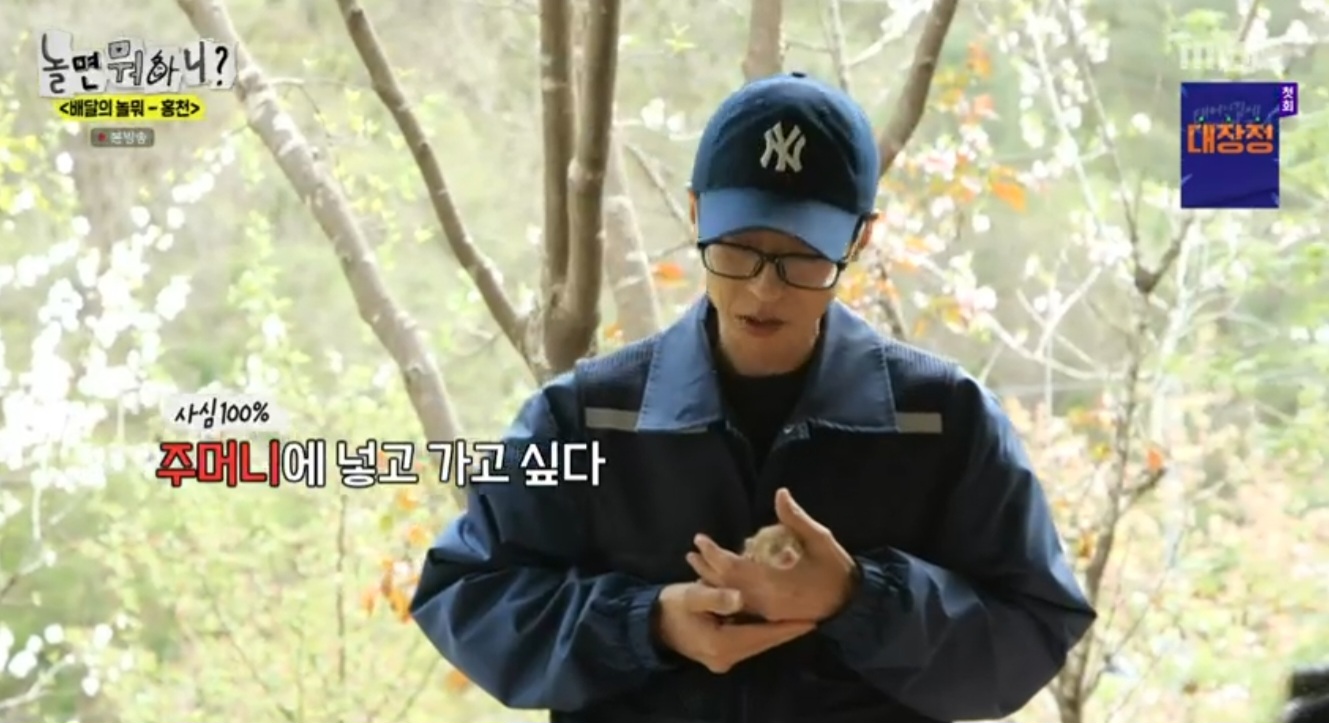 사심이 이미지
