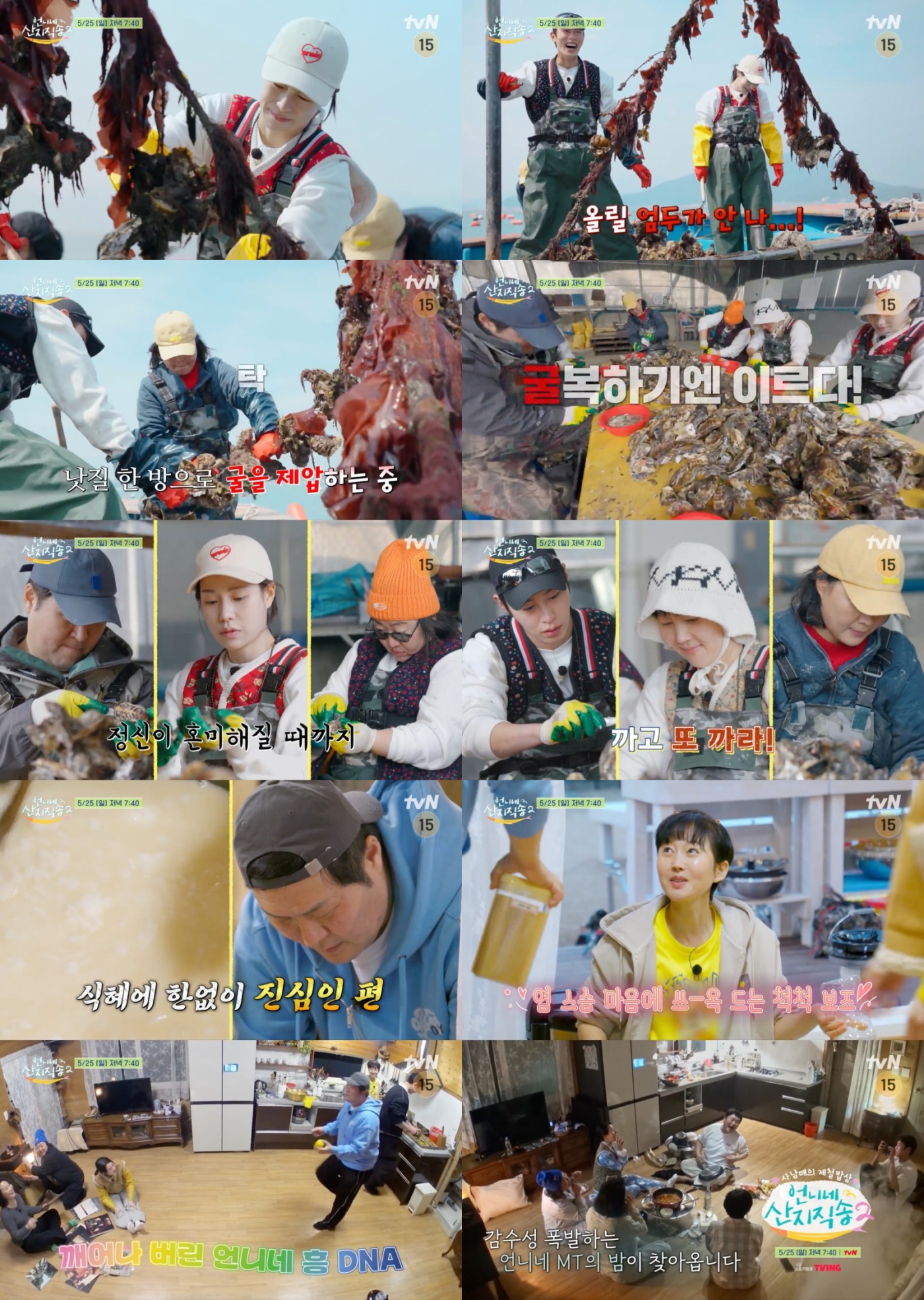 언니네복사 이미지