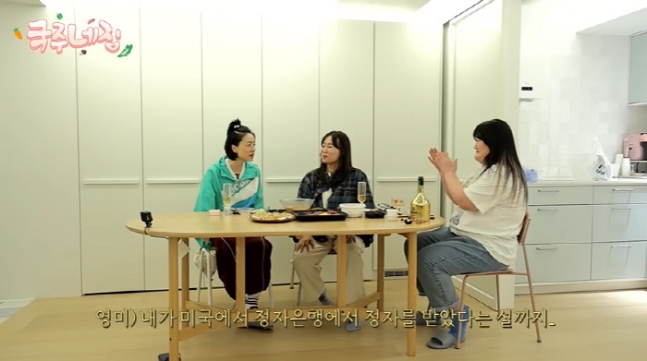 안영미 "미국 정자은행+레즈비언 설까지…" 루머 언급 [소셜in]