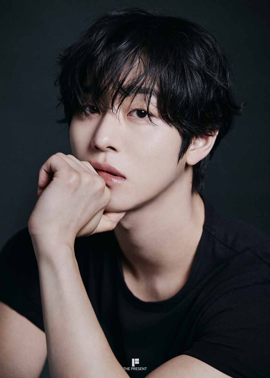 ahn hyo seop omniscient reader
